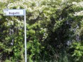/album/lo-stabile/dscn2822-jpg/